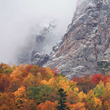 Гора Фишт, Краснодарский край, Россия